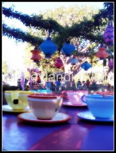 iphonepics 8-10 020